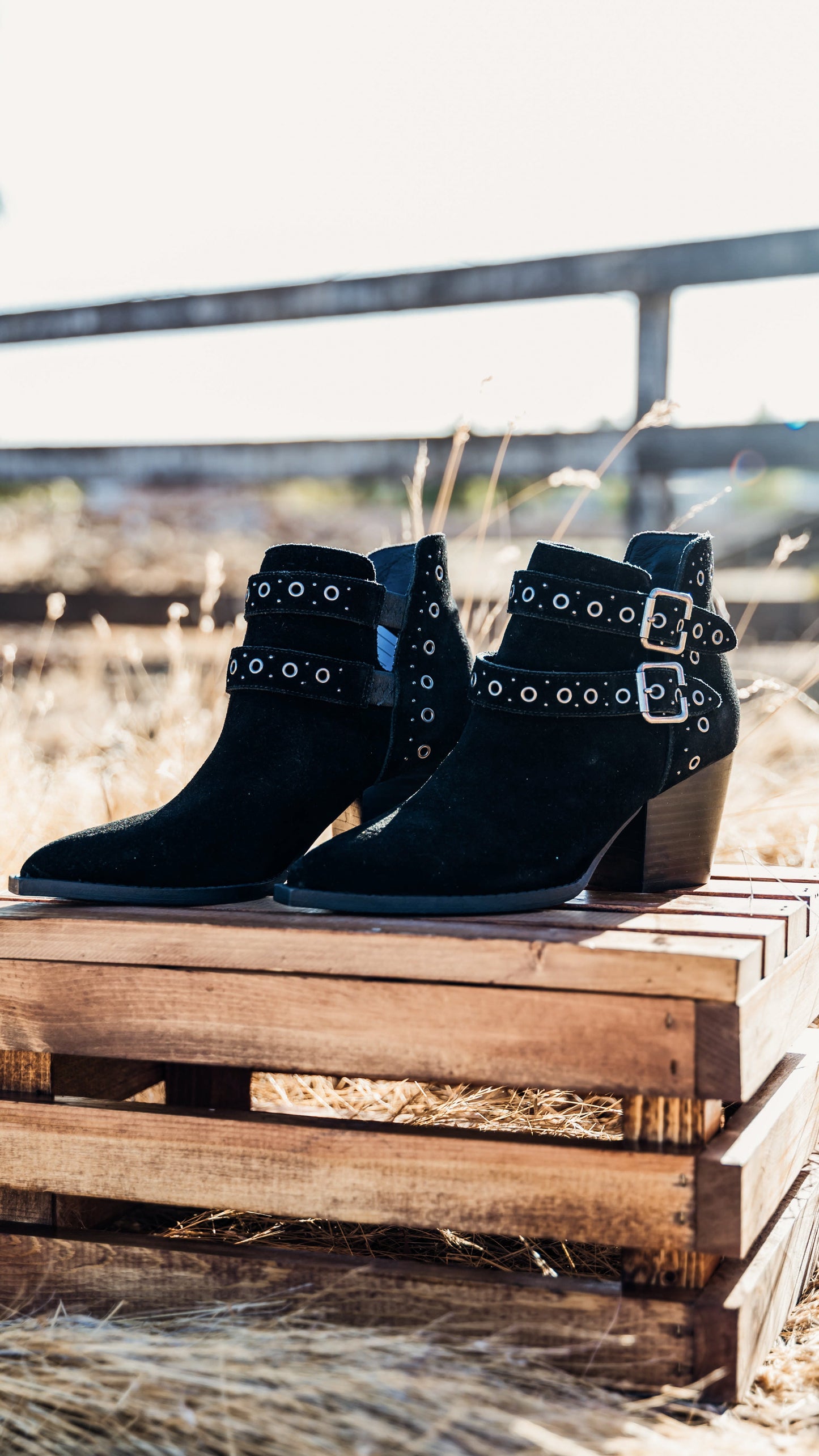 ONLINE EXCLUSIVE Elsa Leather Ankle Boot in Black