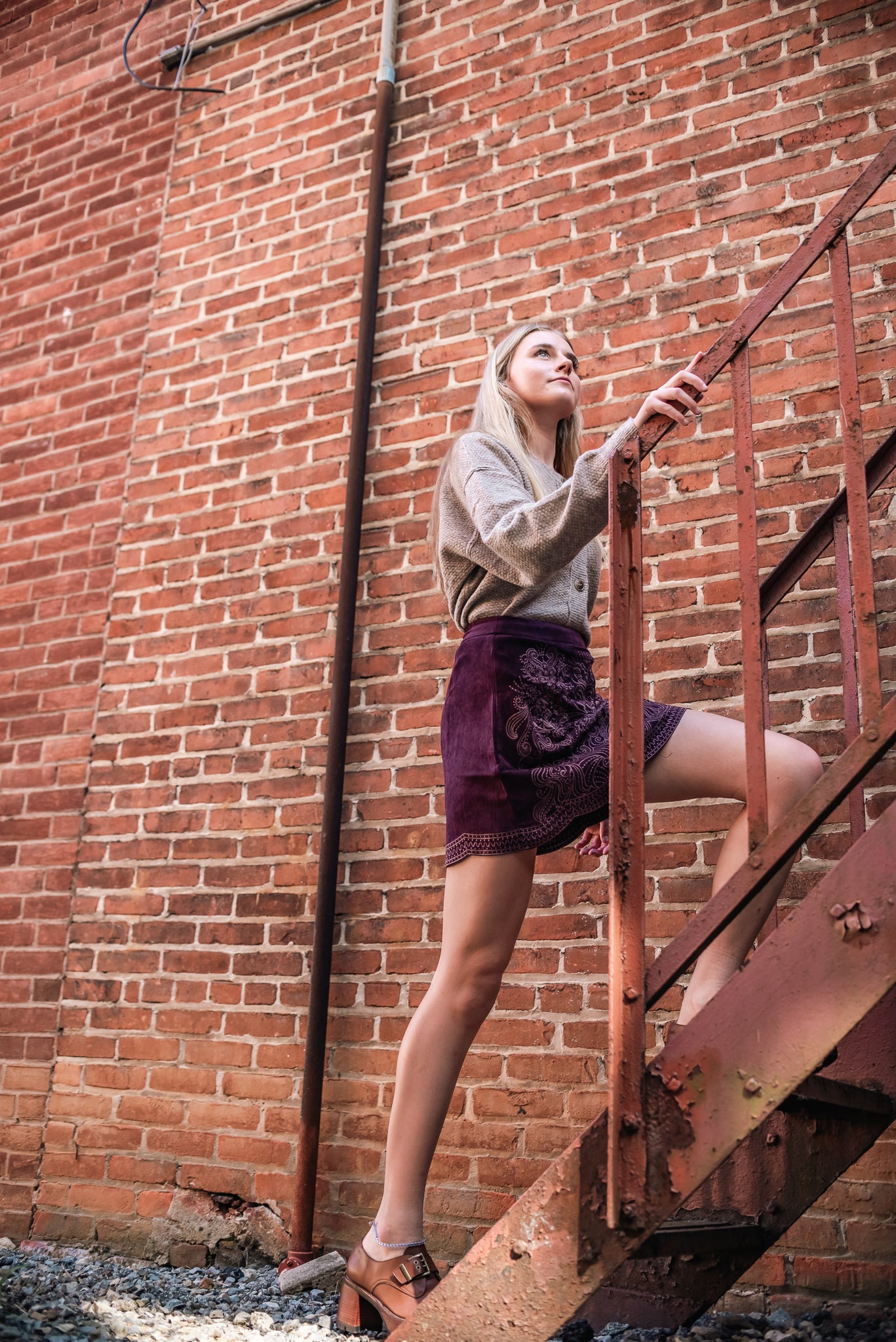 Easel suede embroidered skirt