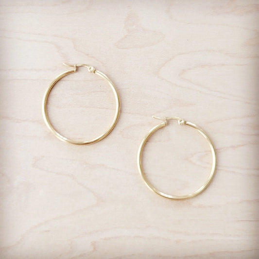 ONLINE EXCLUSIVE Medium Stainless Steel Hoop Earrings 18K Gold Plating 219b