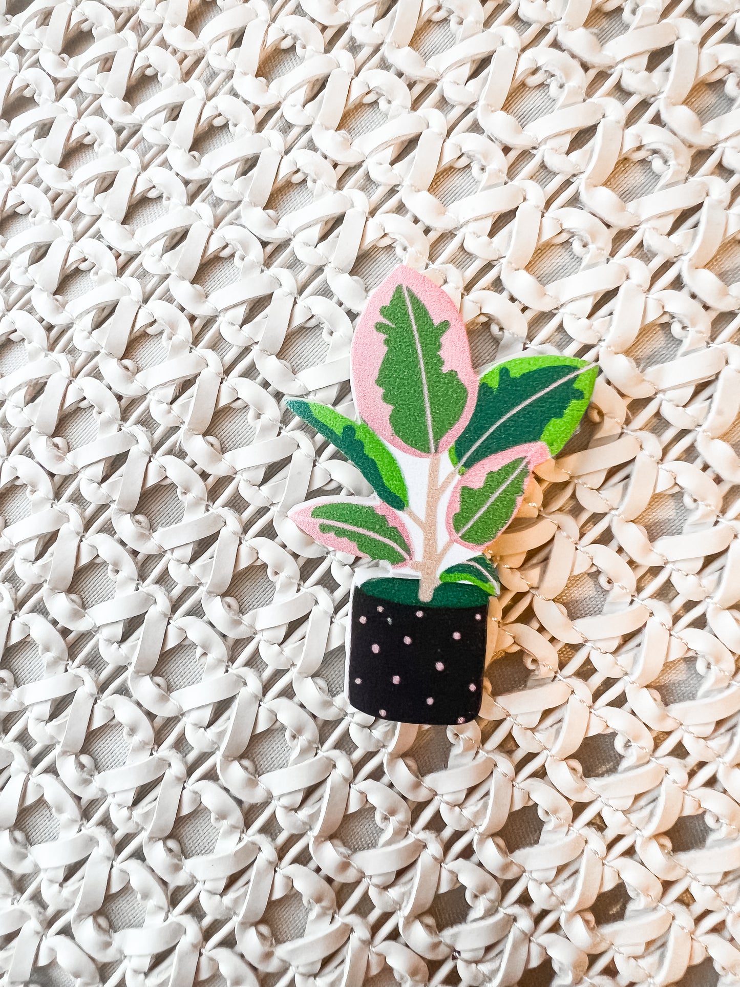 Potted Plants Magnets