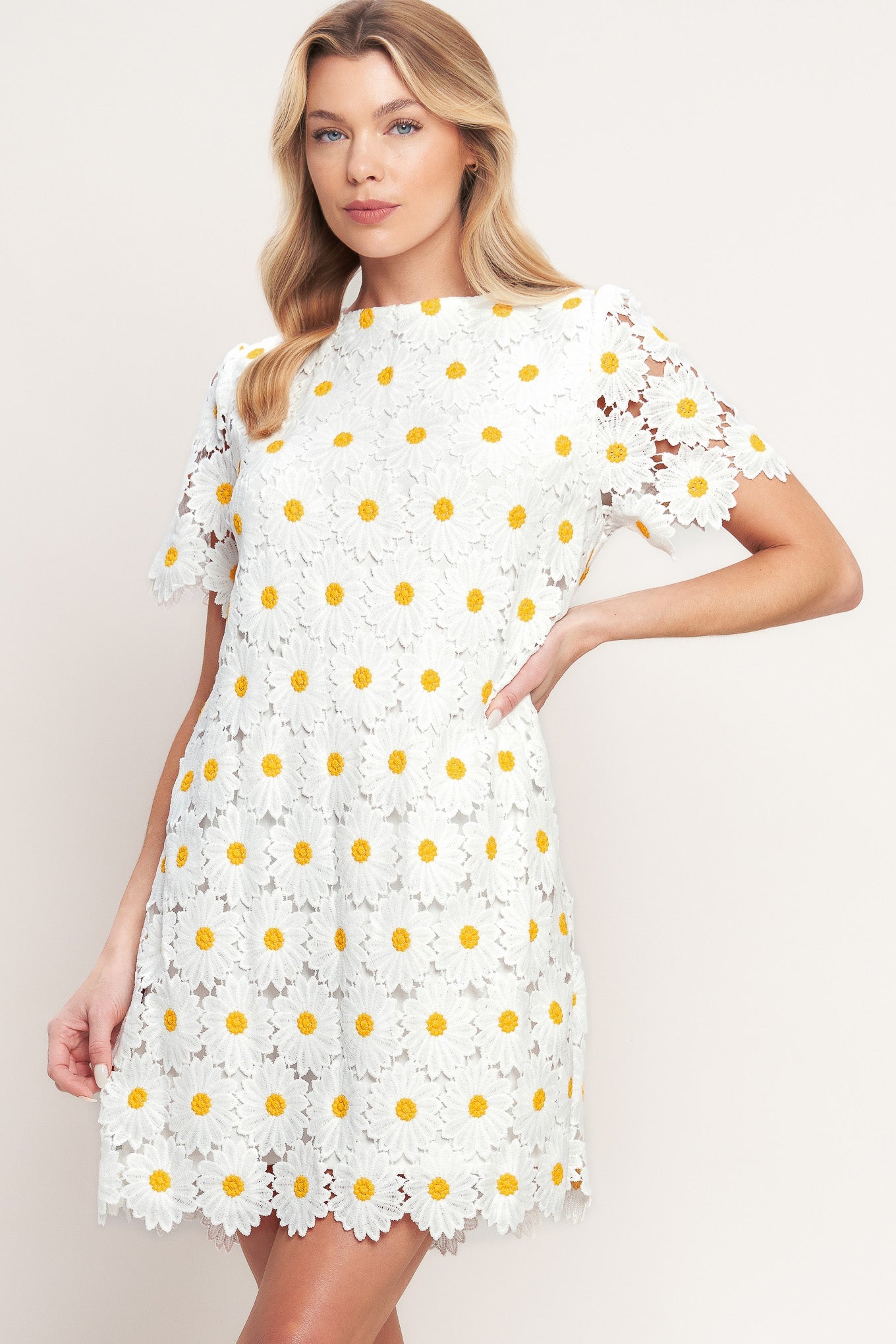 ONLINE EXCLUSIVE - Daisies and daydreams lace mini dress