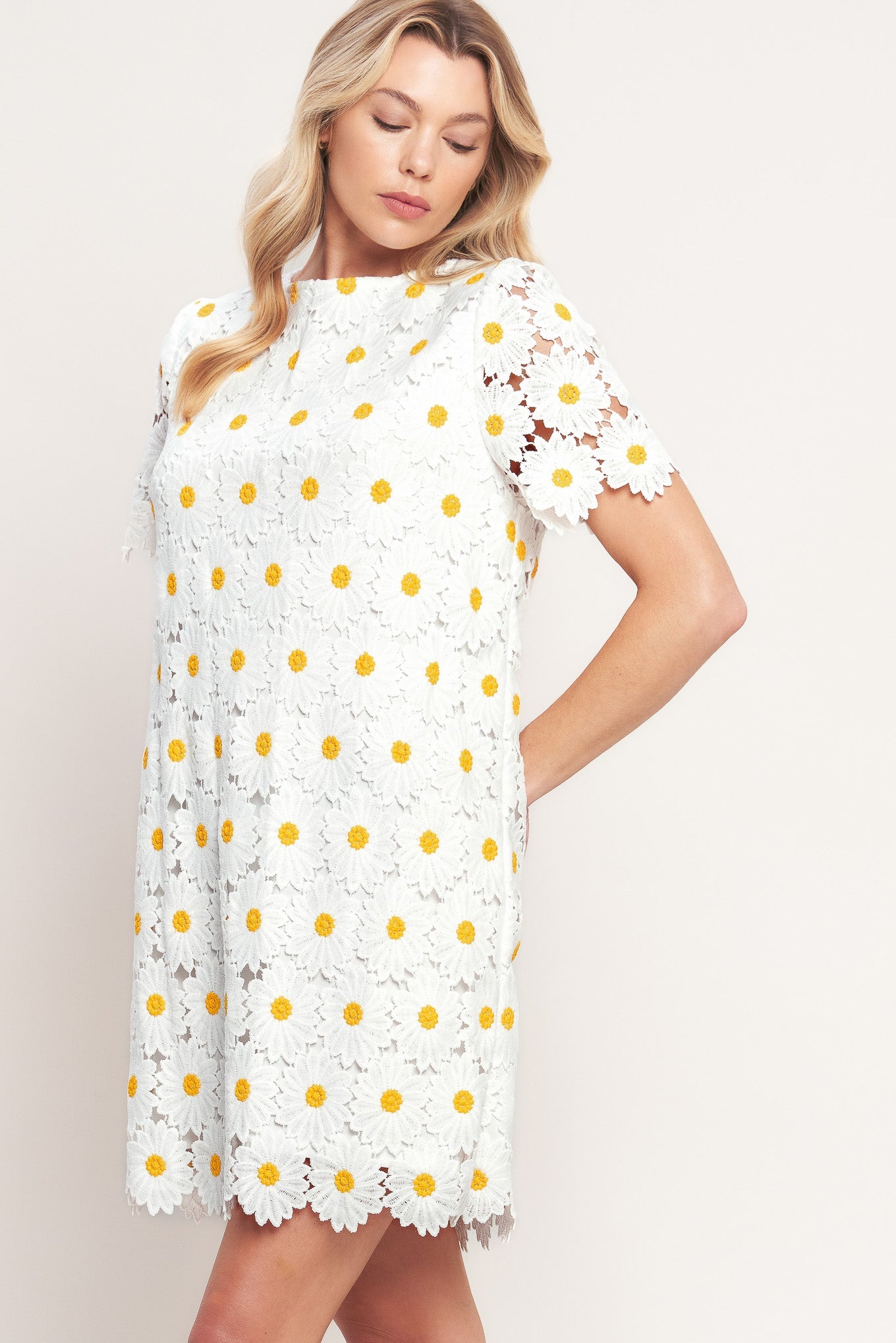 ONLINE EXCLUSIVE - Daisies and daydreams lace mini dress