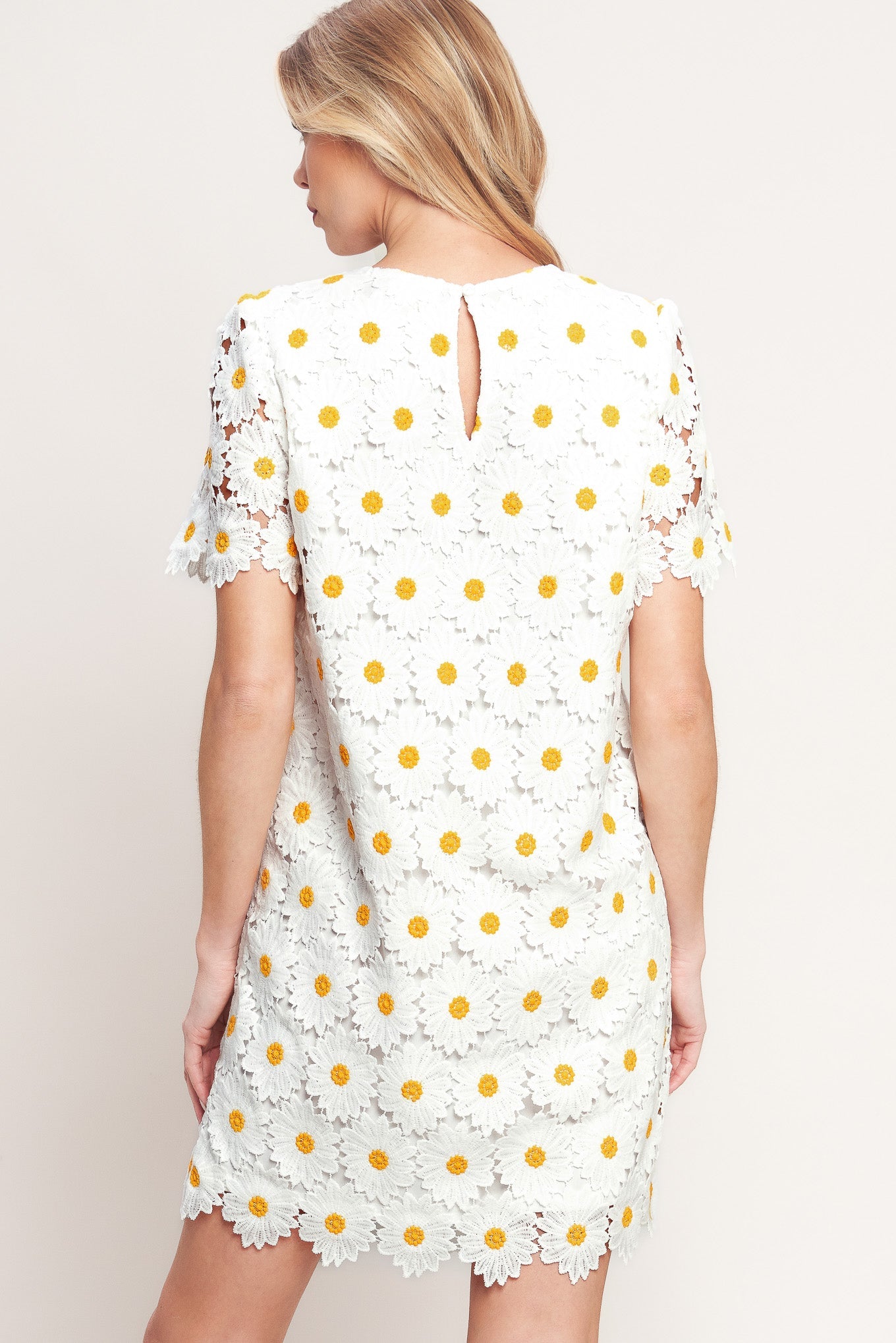 ONLINE EXCLUSIVE - Daisies and daydreams lace mini dress