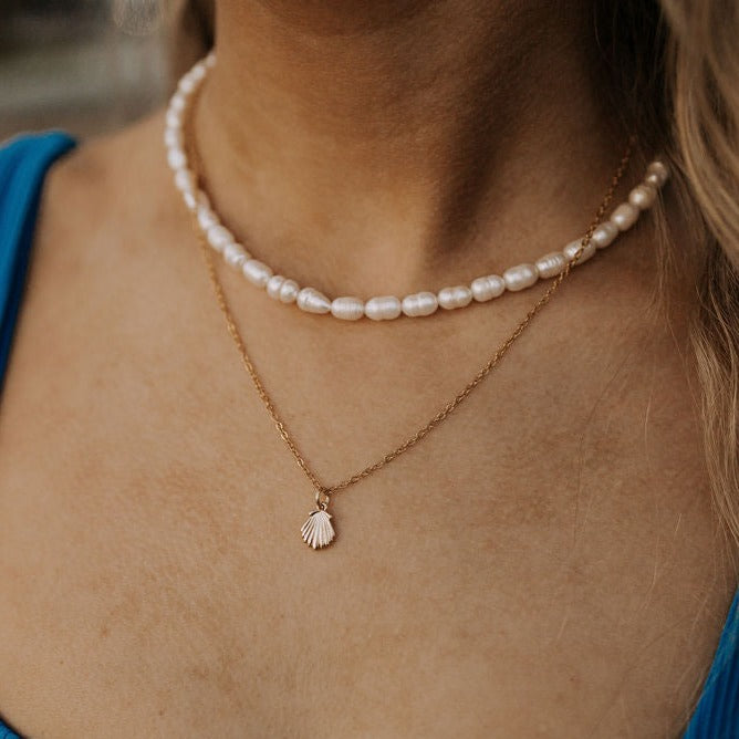 ONLINE EXCLUSIVE - Sea shell necklace