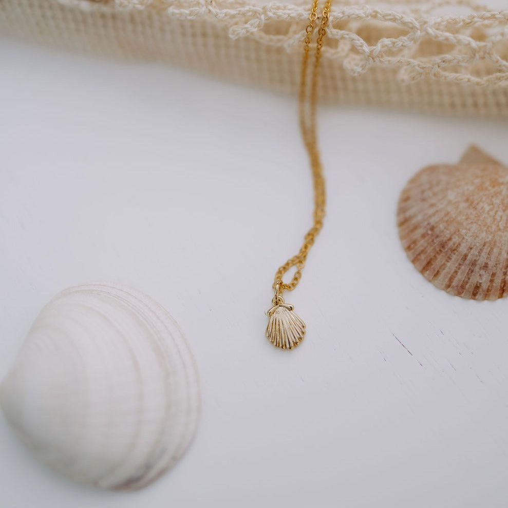 ONLINE EXCLUSIVE - Sea shell necklace