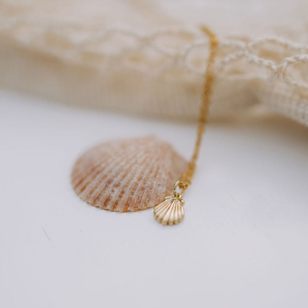 ONLINE EXCLUSIVE - Sea shell necklace