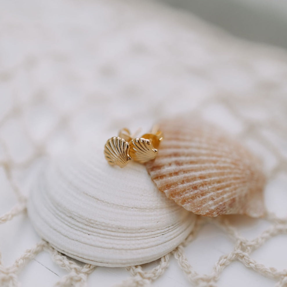 ONLINE EXCLUSIVE - Sea shell studs