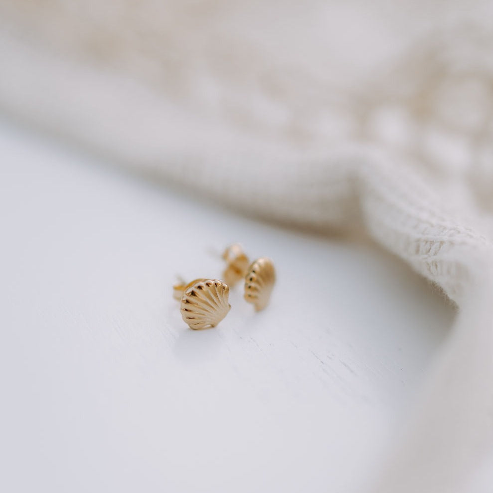 ONLINE EXCLUSIVE - Sea shell studs