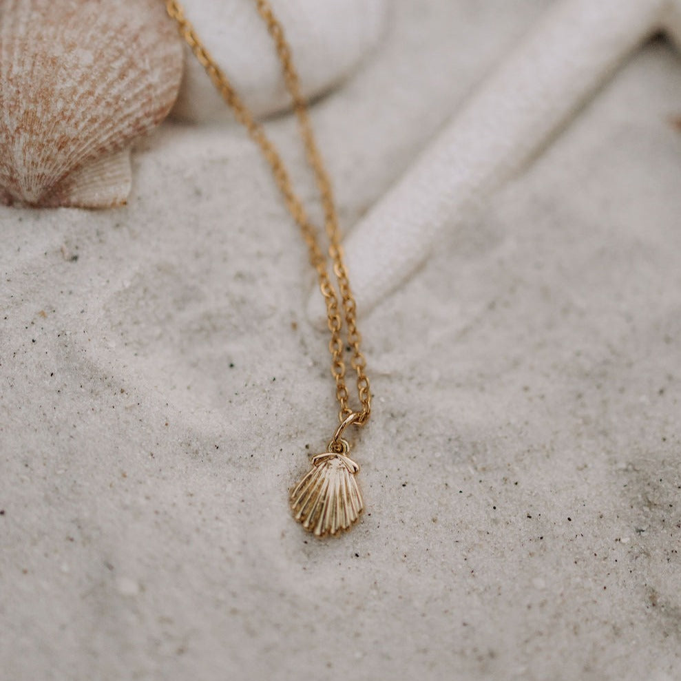 ONLINE EXCLUSIVE - Sea shell necklace